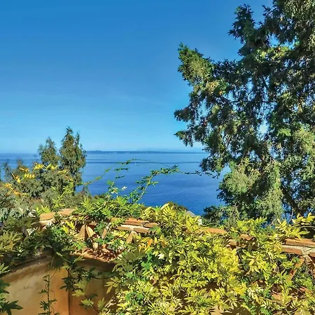 ヴィラ Eleni Vassilikos Zakynthos *